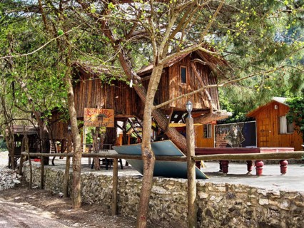 Rustic tree houses built on stilts and in pine or orange trees, wooden holiday homes, meeting place