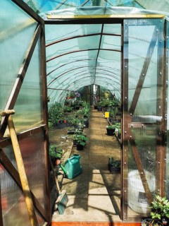 Flower seedlings, watering cans and garden tools through the open door of the greenhouse, A sunny