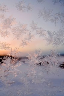Close-up of intricate frost patterns on a window in Swedish Lapland. The soft sunlight highlights