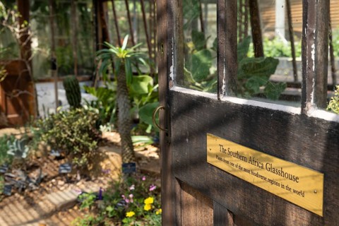 Historic greenhouse for South African plants, Chelsea Physic Garden, historic botanical garden,