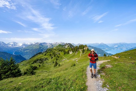 Hikers on a hiking trail on the Schynige Platte, picturesque mountain landscape, Bernese Alps,