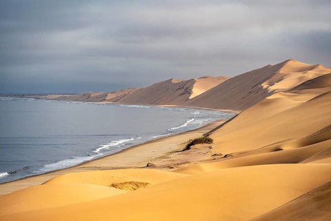 Sand dunes and sea in morning light, Atlantic coast and sandy desert with sea of dunes, Sandwich