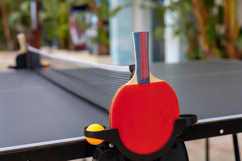 A well-maintained ping pong table awaits players in a beautifully landscaped hotel garden in