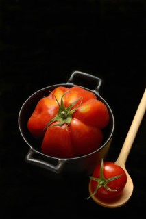 Oxheart tomato in pot, Solanum lycopersicum