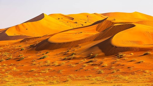 Wind-sculpted curved sand dunes in the Rub al Khali desert, Dhofar province, Arabian Peninsula,
