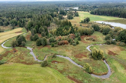 Bavaria, Upper Palatinate, Tirschenreuth, Waldnaab, Waldnaabaue, wild pastures Waldnaabaue, aerial