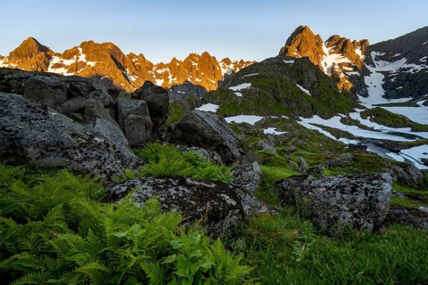 Rocky mountain peaks, landscape with ferns at Trollfjord Hytta, mountain landscape with alpenglow