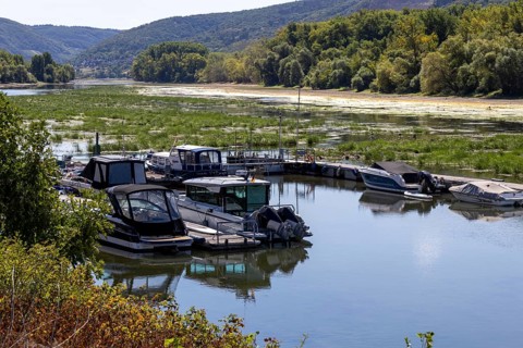 August 2026, Extreme low tide on the Middle Rhine***Sports boats near Kaub