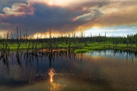 Fire in the taiga of northern Alaska, the intensely coloured smoke clouds are reflected in a small