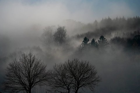 Foggy landscape, near Wesertal, Weser Uplands, Weserbergland, Hesse, Germany