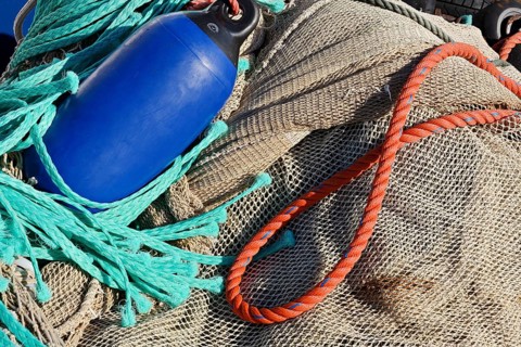 Fishing net with buoy and ropes in harbour, Neuharlingersiel, East Frisia, Lower Saxony, Germany