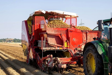 Potato harvesting by Elodie Früh-Kartoffeln im Rhein-Pfalz-Kreis