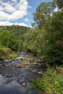 Germany, White Elster, Elstertal, high size, portrait format, landscape, nature reserve, Steinicht,