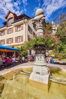 Ancient fountain, historic city fountain, flower decoration, general architecture, houses, public