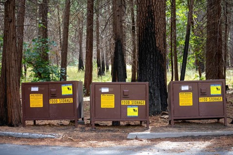 Yosemite National Park, California - Food storage lockers in Yosemite Valley in Yosemite National