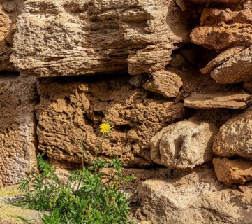 Detail photo, city wall in Alcudia, Majorca, Spain