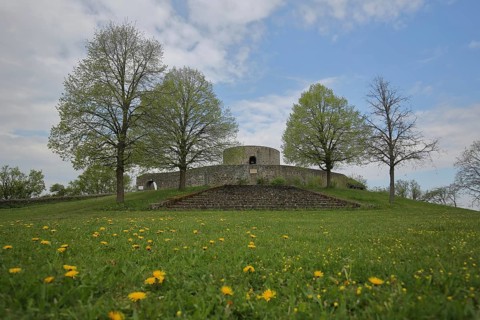 Heiligenburg Castle built 12th century with tower, Heiligenberg, Felsberg, Hesse, Germany