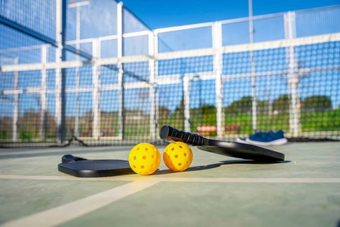Pickleball paddles and yellow perforated balls resting on a court, representing the growing