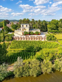 Aerial view, drone photo: Roman villa Pompeianum with vineyard over the Main, Aschaffenburg, Lower