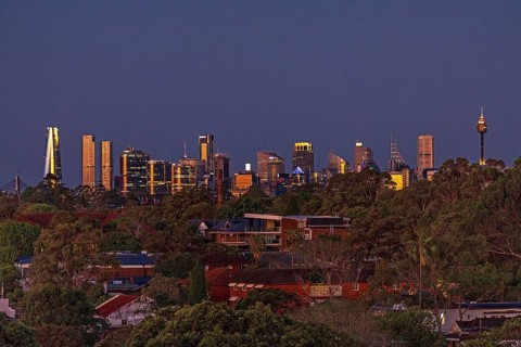 View of the Sydney skyline with greenery in the foreground and mix of modern buildings and