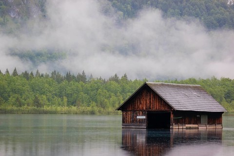 On an early autumn morning, a bank of fog hangs over the forest in the mountains and the Almsee