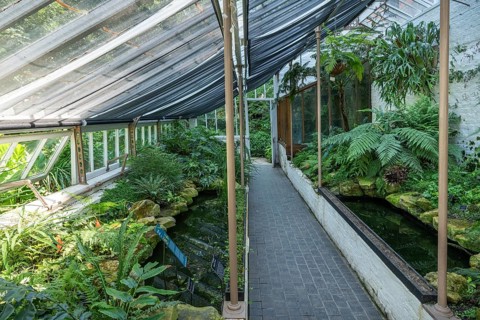 Thomas Moore Fernery, a cool, shady greenhouse for ferns, laid out in the 19th century by Thomas