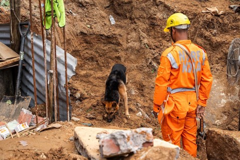 Rescue operations by the National Disaster Response Force (NDRF) and police, aided by sniffer dogs,