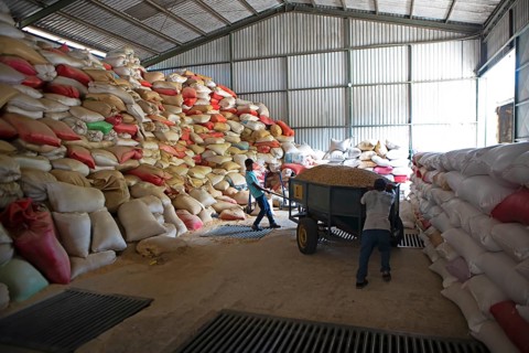 Warehouse for bags full of coffee beans, coffee plantation in the Jutiapa department, Guatemala