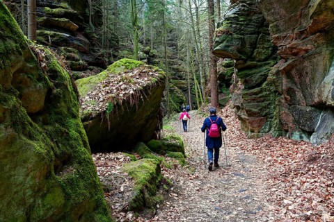 Hiking in Uttewalder Grund, rocky valley near Lohmen, gorge, rock formation, hiking, excursion