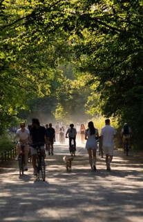 Walkers, cyclists, dogs, lots of traffic on the walking trail, English Garden, Munich, Bavaria,