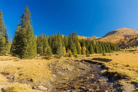 Lenzanger creek, Hohe Tauern NP, Kolm Saigurn valley head, Rauris Valley, Austria