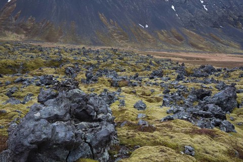 Landscape north of Arnarstapi, Vesturland, West Iceland, lava rocks, moss, Snæfellsjökull,