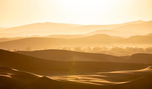 Back light, silhouettes in the desert, Namib sand dunes, Namib Desert, Namib-Naukluft National