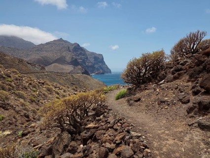 Rocky path leads through barren landscape with shrubs and mountains to the blue sea, La Aldea de