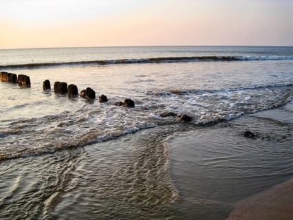 Sandy beach with shallow waves and old wooden groves in soft evening light, coastal protection