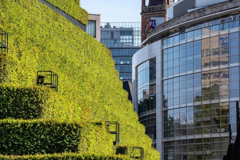 Green façade, made of over 30, 000 hornbeams, a good 8 kilometers long hedge, on the roof and the