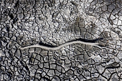 The bottom of a dried-up fish pond in Reckahn in Brandenburg looks like parched desert soil. The