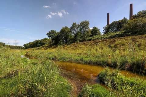 Bottrop, North Rhine-Westphalia, Germany, Renaturalised Boye, the tributary of the Emscher, was