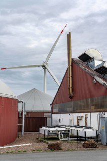 Biogas plant produces gas from various biomass, electricity is generated in combined heat and power