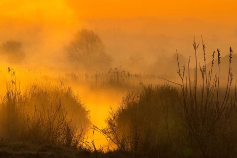 Sunrise, mood, sunrise