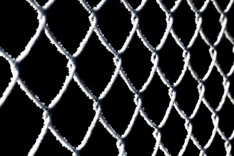 A chain-link fence with hoarfrost