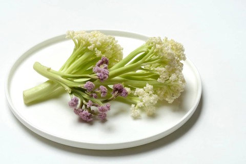 Fioretto, a cross between cauliflower and broccoli. The flowers are reminiscent of coral,