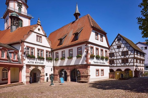 Tourist information centre, old town hall, cobblestones, historic buildings, windows, flower boxes,