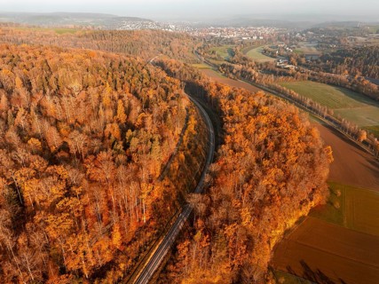 Autumnal aerial view of a forest, crossed by tracks and with a town on the horizon, Hermann Hesse