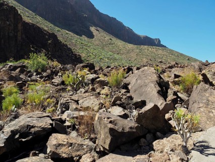 A barren mountainous landscape with patches of shade and scattered vegetation on the rocks, the