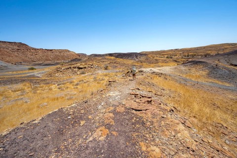 Tourist in dry landscape with yellow grass and black volcanic hills, Burnt Mountain, Damaraland,