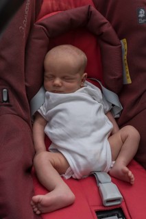 Sleeping infant in baby carrier, Mecklenburg-Western Pomerania, Germany