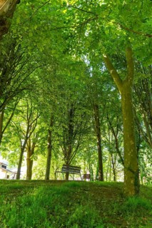 Park in the municipality of Lezo, the small coastal town in the province of Gipuzkoa, Basque