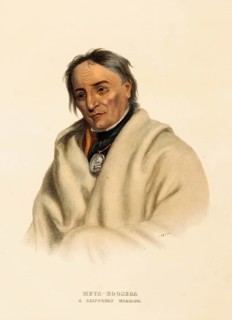 Meta-Koosega. A Chippeway Warrior (ca. 1837-1844), Native American, Historical Native American