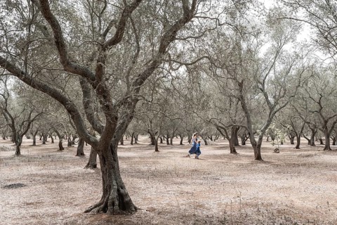 Mom and son running in olive grove in Plugia Italy